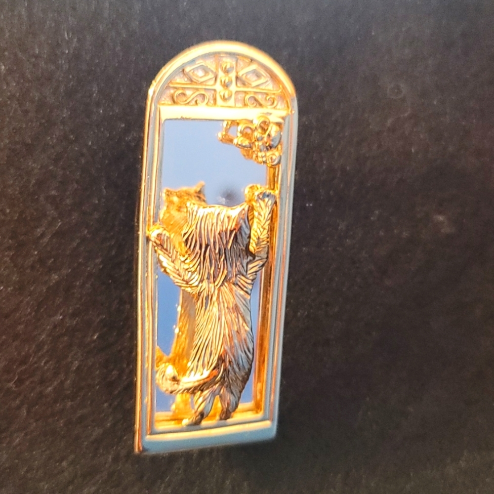 Vintage cat in the mirror brooch